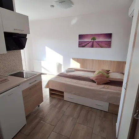 Dream Lux Apartament *
